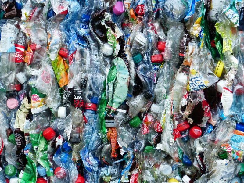 Пластику — нет!
Что может сделать житель мегаполиса в борьбе за экологию