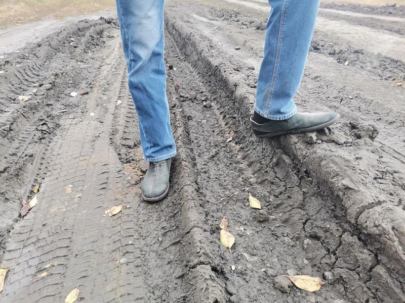 Одна из самых протяженных улиц воронежского села Криуша заждалась дороги