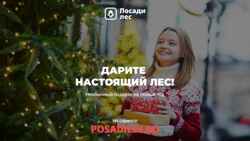 В честь Нового года жителей Кировской области приглашают присоединиться и подарить стране 100 тысяч ёлок