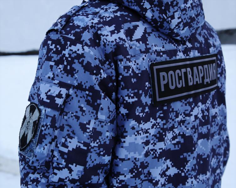В Мордовии росгвардейцы благодаря бдительности граждан задержали двух пьяных водителей
