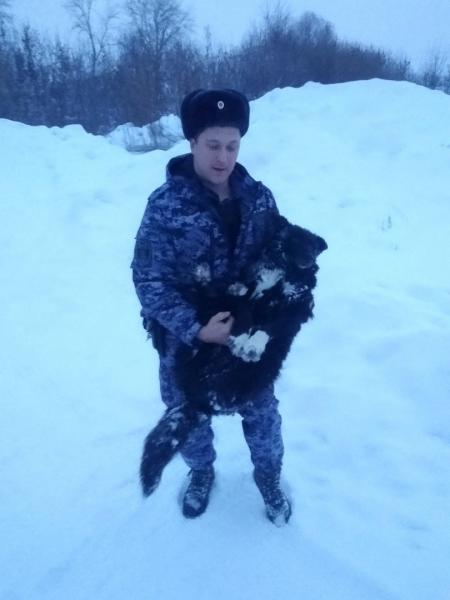 Жители Кирова поблагодарили росгвардейцев за помощь в спасении провалившейся под лед собаки