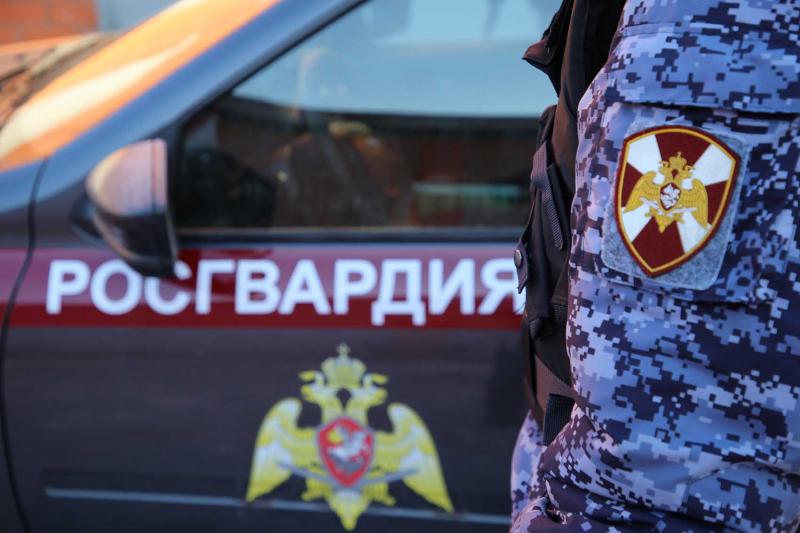 В Мордовии росгвардейцы задержали гражданку по подозрению в совершении в кражи
