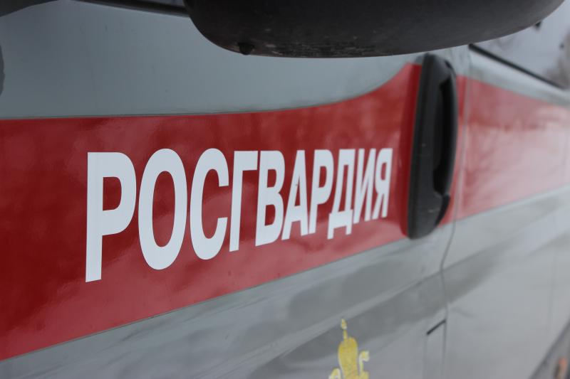 За минувшие выходные сотрудники вневедомственной охраны Челябинска задержали пятерых подозреваемых в различных преступлениях
