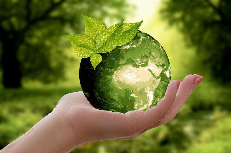 Ученый ХГУ предложила решение экологических проблем на международном экономическом форуме