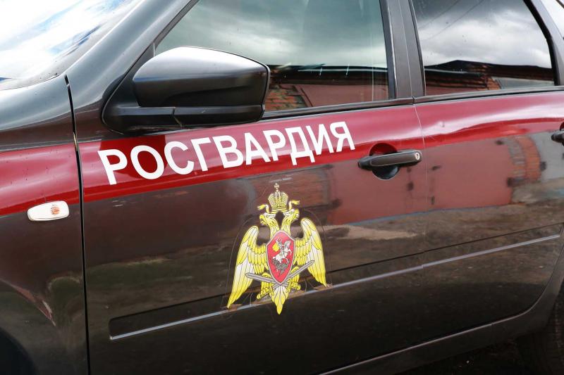 В Мордовии росгвардейцы задержали мужчину по подозрению в нанесении побоев