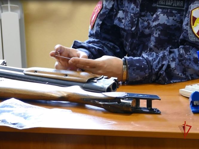 С начала года сотрудники Центра лицензионно-разрешительной работы изъяли свыше 1000 единиц оружия в Томской области