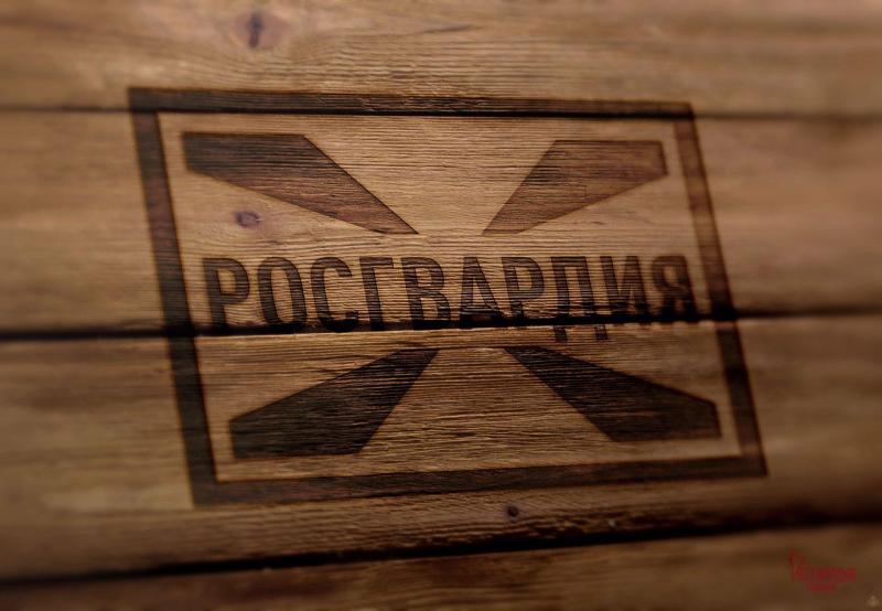 Росгвардия в Томской области напоминает об ограничении оборота оружия в период проведения Дней ВДВ и ВМФ