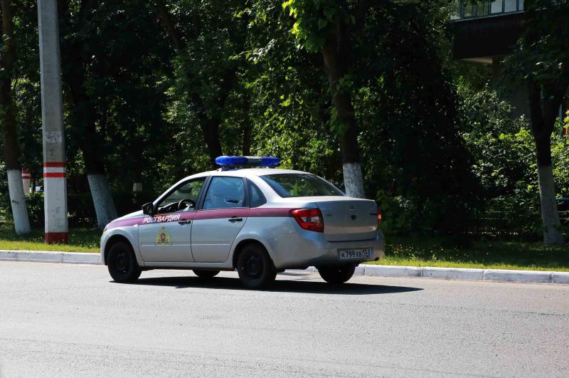 В Зубово-Поляне росгвардейцы задержали водителя без прав
