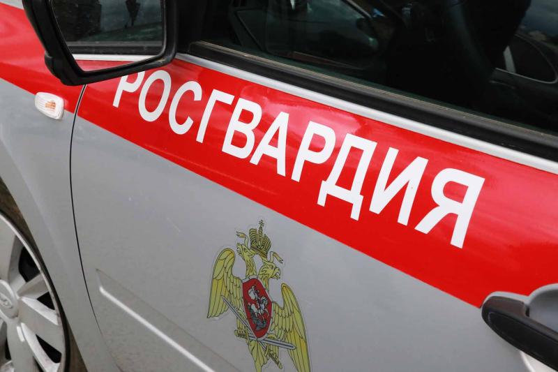В Мордовии росгвардейцы задержали пьяного водителя