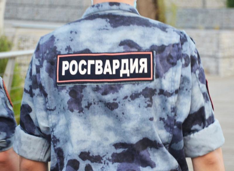 В Клепиковском районе росгвардейцы за сутки задержали двух пьяных водителей
