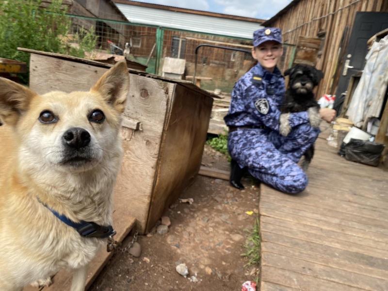 Сотрудники Росгвардии оказали помощь приюту для бездомных животных в Иркутской области