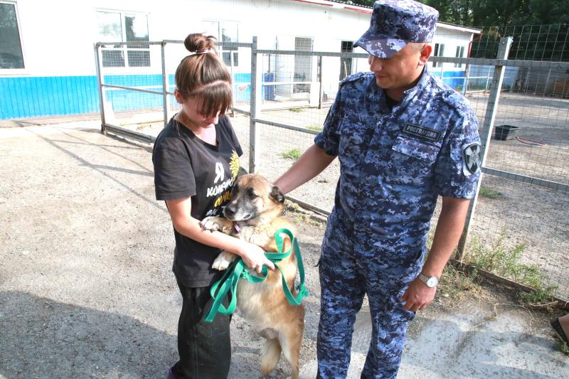 В Мордовии росгвардейцы оказали помощь приюту для безнадзорных животных