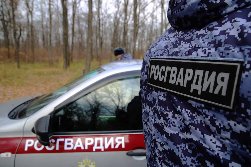 В Зубово-Полянском районе росгвардейцы оказали содействие сотрудникам ДПС в задержании пьяного водителя