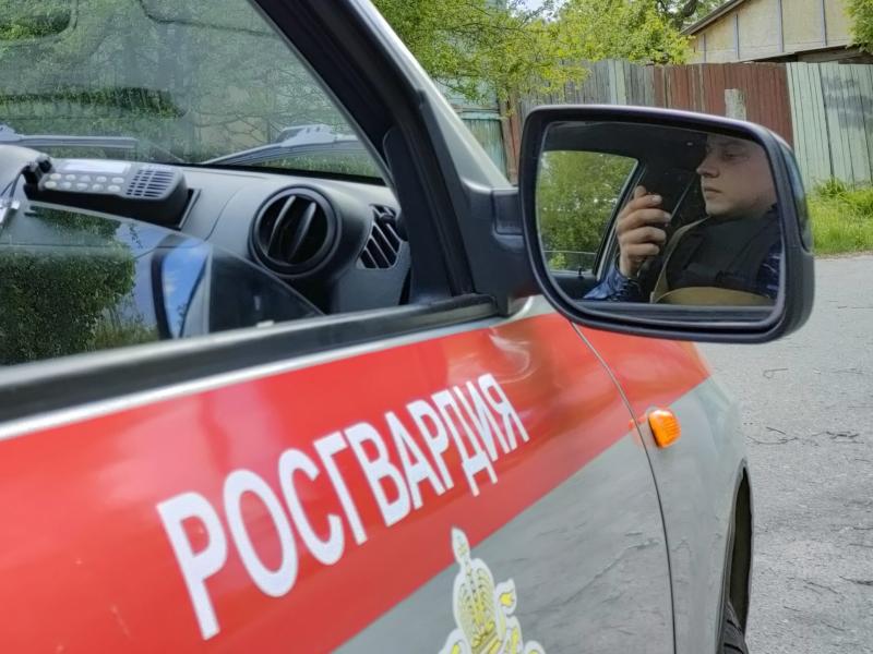 Росгвардейцы за неделю пресекли около 130 административных правонарушений в Курской области