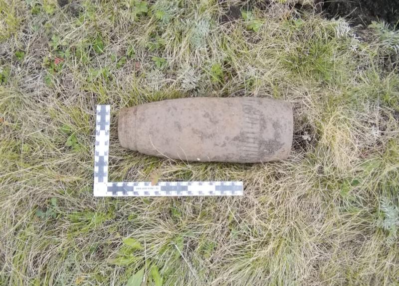 Ульяновские росгвардейцы обследовали снаряды, обнаруженные в лесном массиве