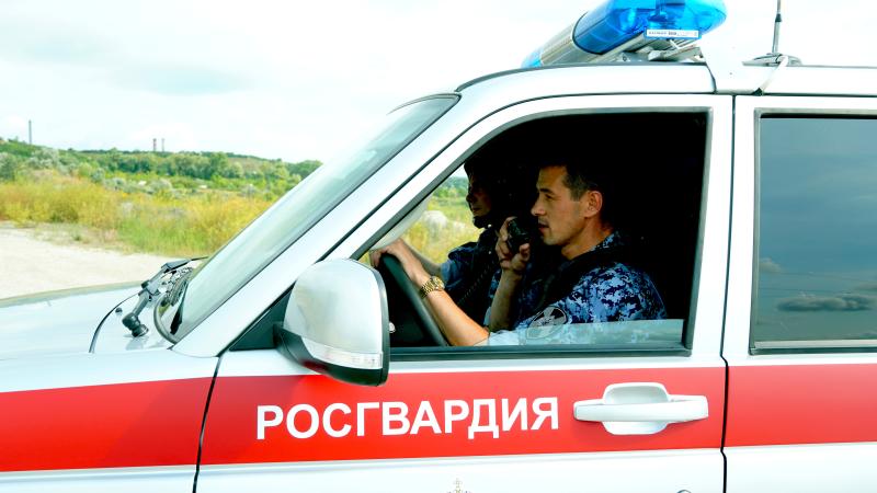 В Ульяновске сотрудники вневедомственной охраны Росгвардии задержали подозреваемого в совершении мелкого хищения