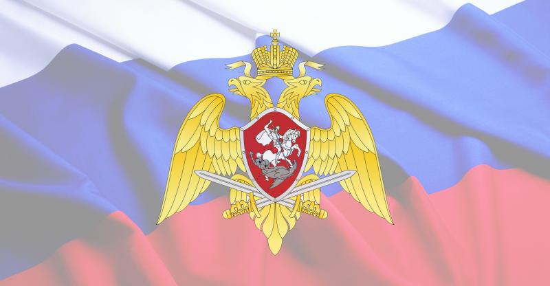 При участии Росгвардии пресечен незаконный оборот оружия в Ингушетии