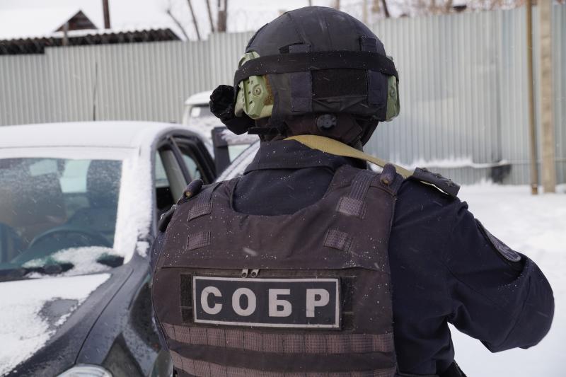 При участии спецназа Росгвардии в Иркутской области задержана организованная группа, которая занималась незаконным экспортом леса