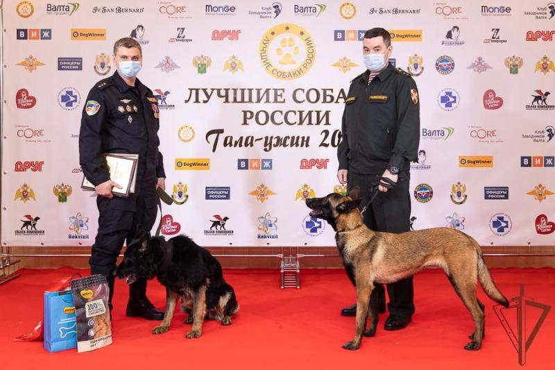 Кинологи и служебные собаки Росгвардии, принимавшие участие в СВО, отмечены всероссийской премией профессионального мастерства