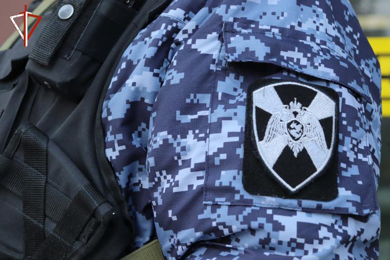 В Йошкар-Оле сотрудники Росгвардии задержали гражданина, подозреваемого в хищении товара