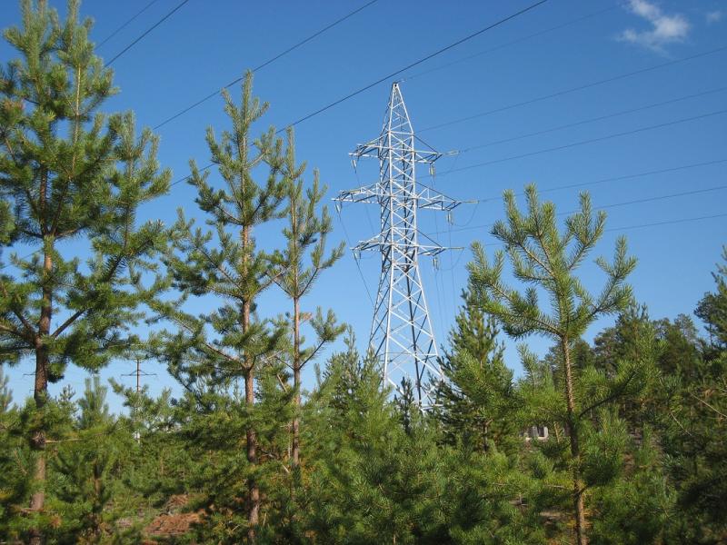 Более 220 млн рублей направили энергетики в 2022 году на защиту окружающей среды