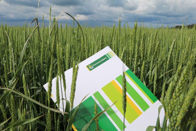 РСХБ выделил малым и средним сельхозпредприятиям Краснодарского края и Адыгеи более 8 млрд рублей льготных кредитов в 2022 году
