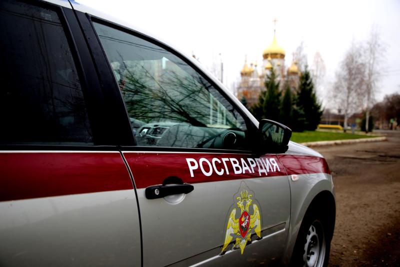 В Ромоданово росгвардейцы оказали содействие сотрудникам ДПС в задержании пьяного водителя