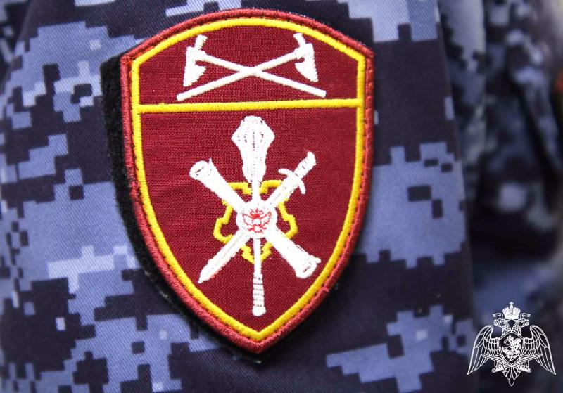 В Мордовии сотрудниками Росгвардии за прошедшую неделю изъяты 9 единиц оружия