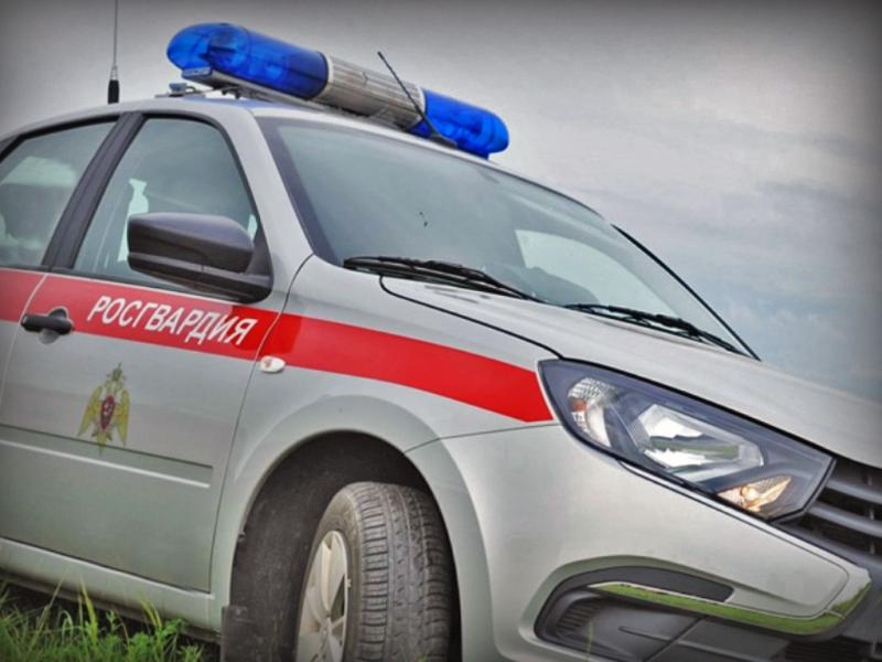 Росгвардейцы задержали в Черногорске подозреваемых в повреждении чужого имущества
