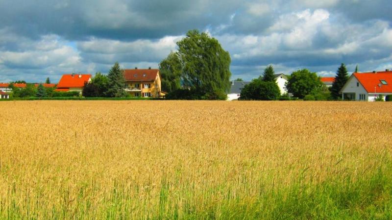 Поддержка освоения сельских территорий