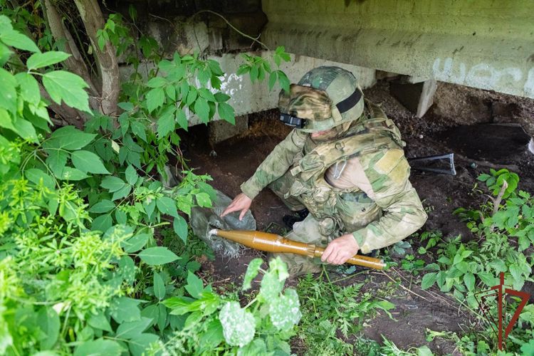Росгвардейцы обнаружили схрон боеприпасов под мостом в ЛНР