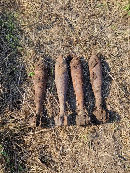 Взрывотехники Росгвардии в Краснодарском крае уничтожили девять мин и три гранаты времен Великой Отечественной войны