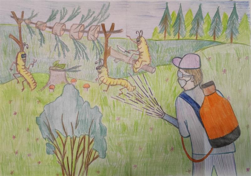 Смоляне в числе победителей всероссийского этапа конкурса детских рисунков «Лес – наш главный интерес»