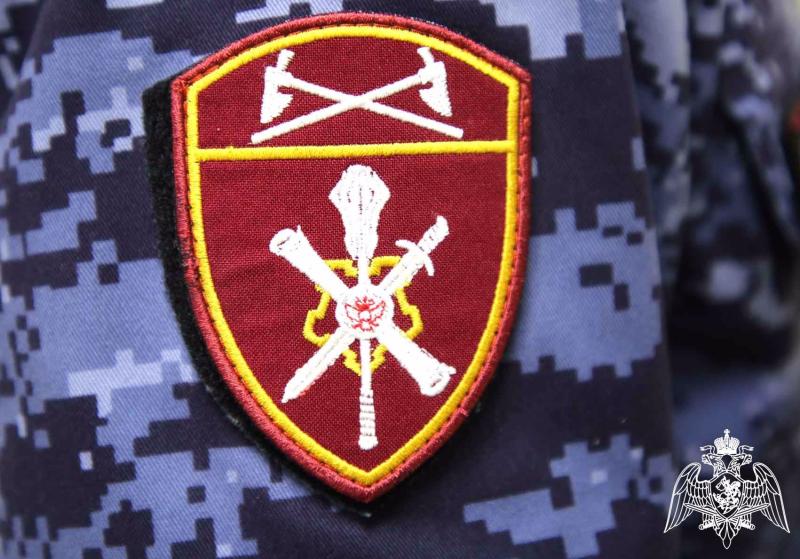 В Мордовии сотрудниками Росгвардии за прошедшую неделю изъяты 11 единиц оружия