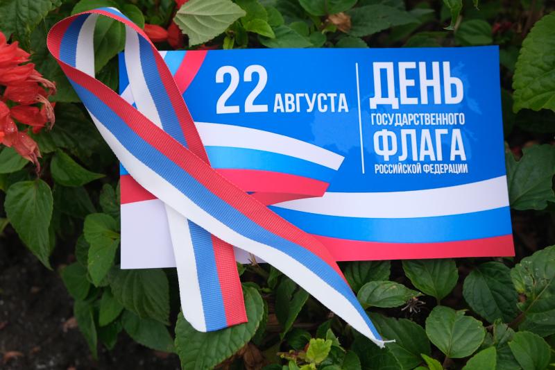 В Курске сотрудники и военнослужащие Росгвардии провели мероприятия, приуроченные ко Дню флага России