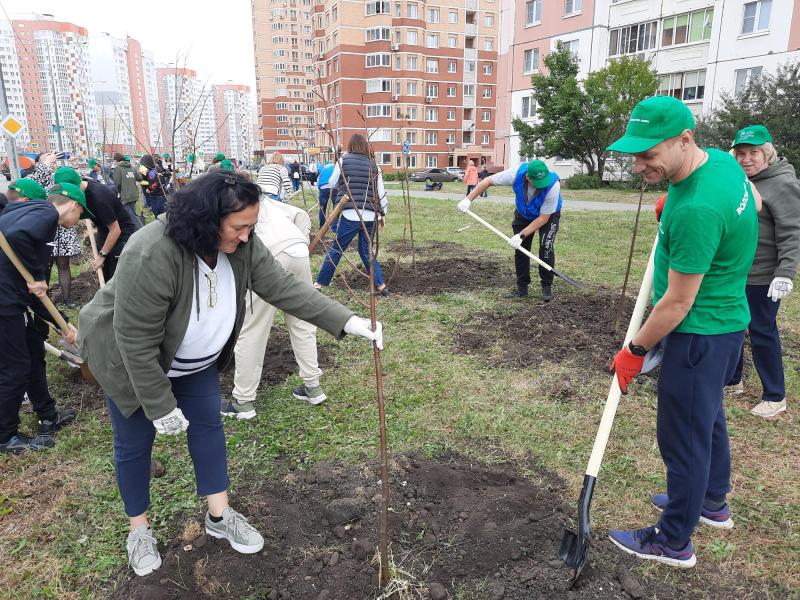 Сотрудники фонда «Милосердие» подарили Липецку новую аллею