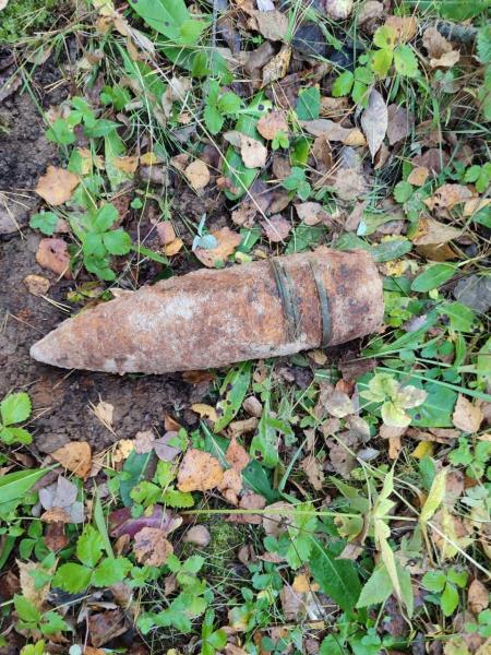 Взрывотехники Росгвардии уничтожили снаряд, найденный грибником в Ивановской области