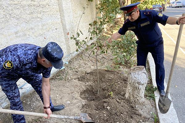 Сотрудники уголовно-исполнительной системы Дагестана присоединились к Всероссийской акции «Зелёная Россия»