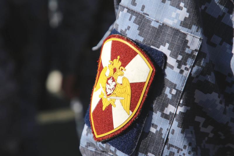 В Саранске росгвардейцы задержали двух дебоширов