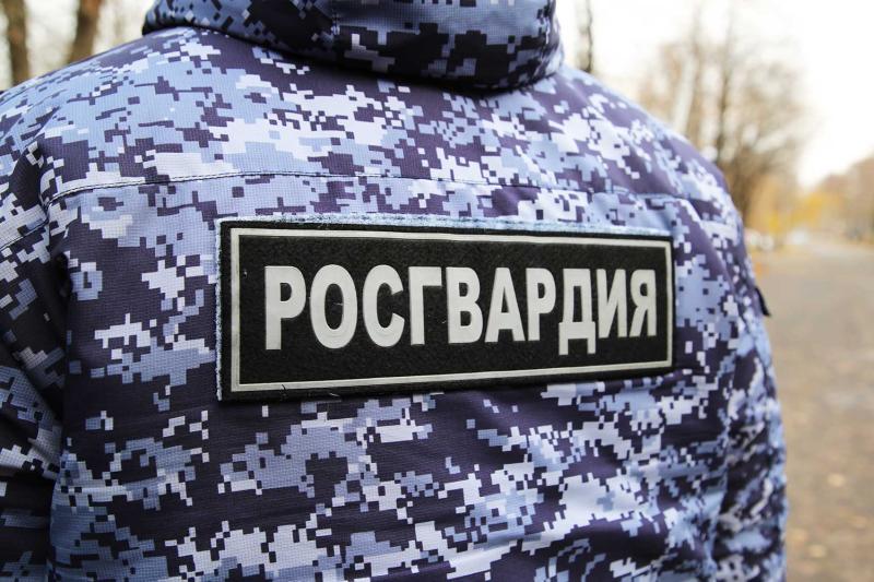 В Саранске экипаж Росгвардии задержал мужчину повредившего автомобиль