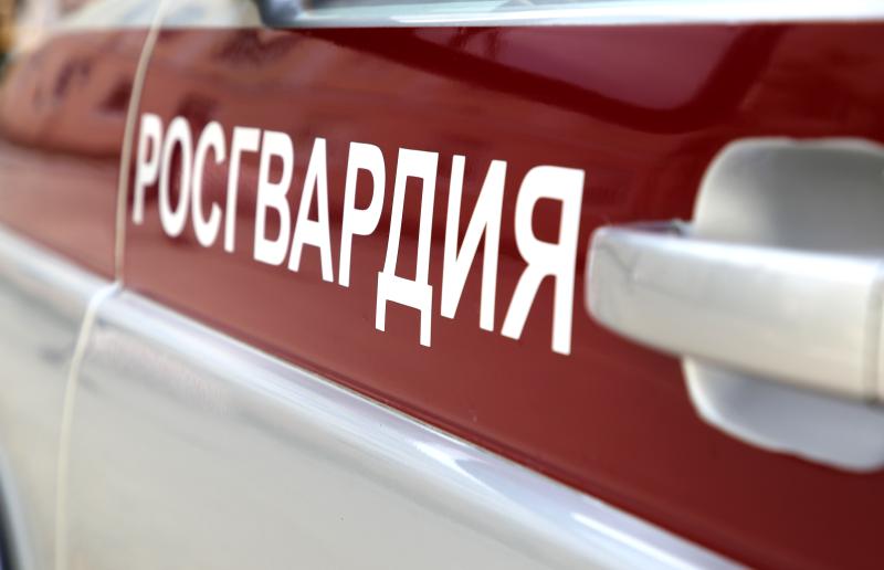 В Мордовии росгвардейцы задержали гражданина по подозрению в нанесении побоев