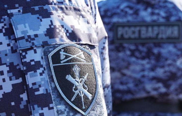 В Орске сотрудники Росгвардии обеспечили правопорядок во время проведения хоккейного матча