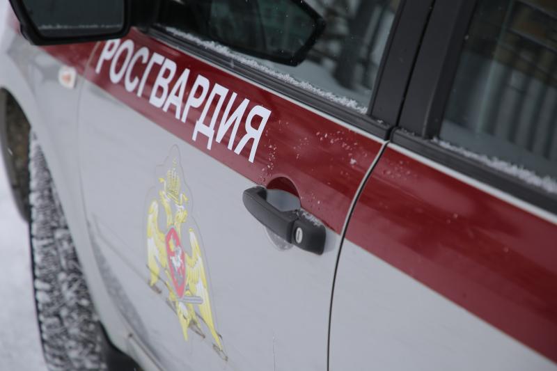 В Ардатово росгвардейцы выявили и задержали нарушителя ПДД