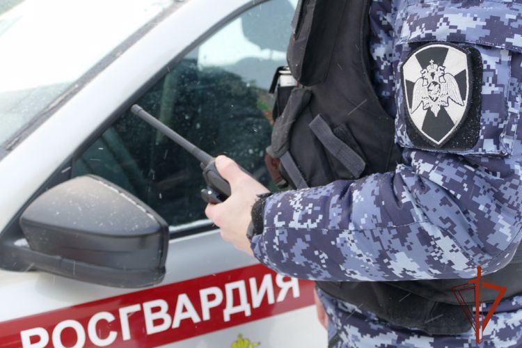 Росгвардейцы за неделю более 400 раз выезжали по сигналам «тревога» в Ивановской области