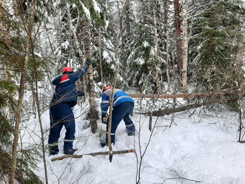 Энергетики «Владимирэнерго» ведут восстановление электроснабжения потребителей, нарушенное сильным снегопадом в непрерывном режиме