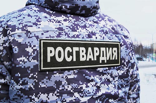 Ульяновские росгвардейцы задержали дебоширов, устроивших драку у кафе