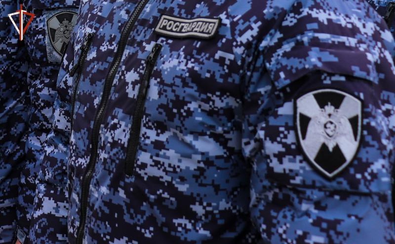 В Йошкар-Оле сотрудники Росгвардии задержали гражданку, подозреваемую в краже товара