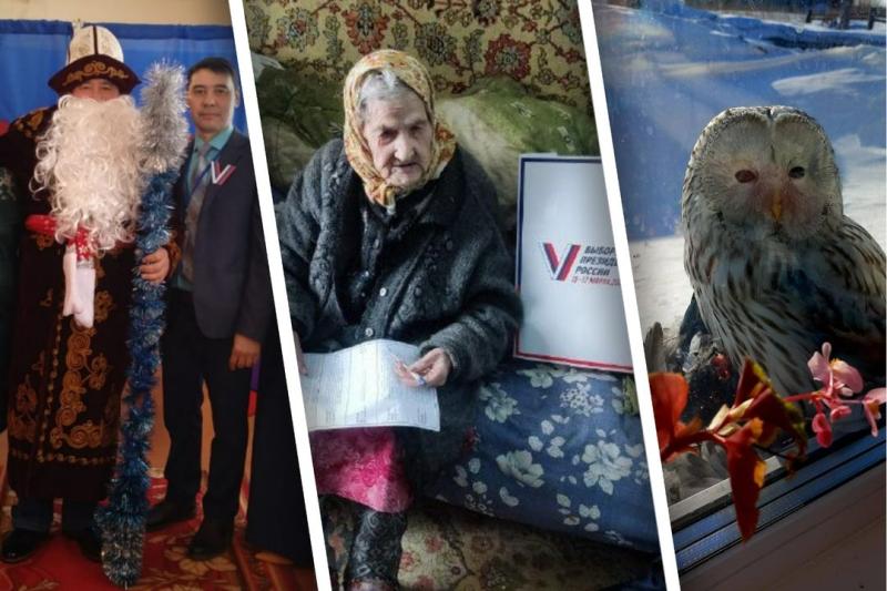 Поющие пенсионеры, 100-летние избиратели и Дед Мороз: как проходят выборы президента в Новосибирской области