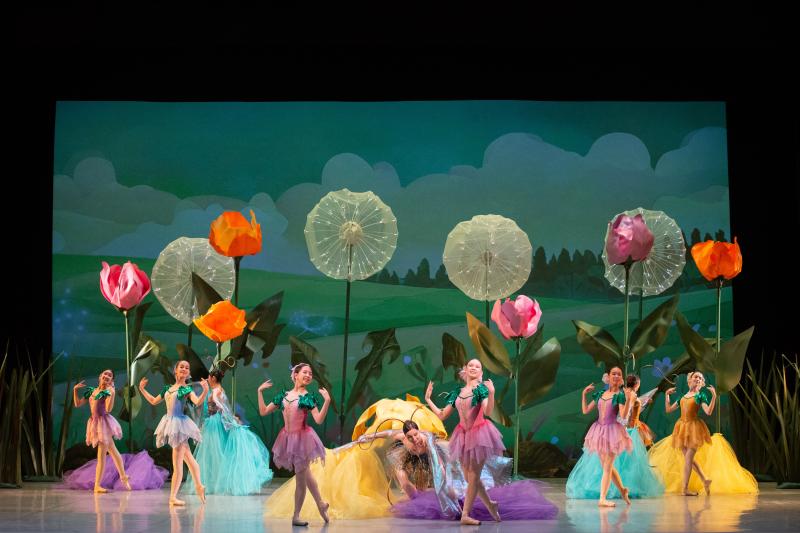 В Бурятском театре оперы и балета состоялась премьера спектакля «Дюймовочка»