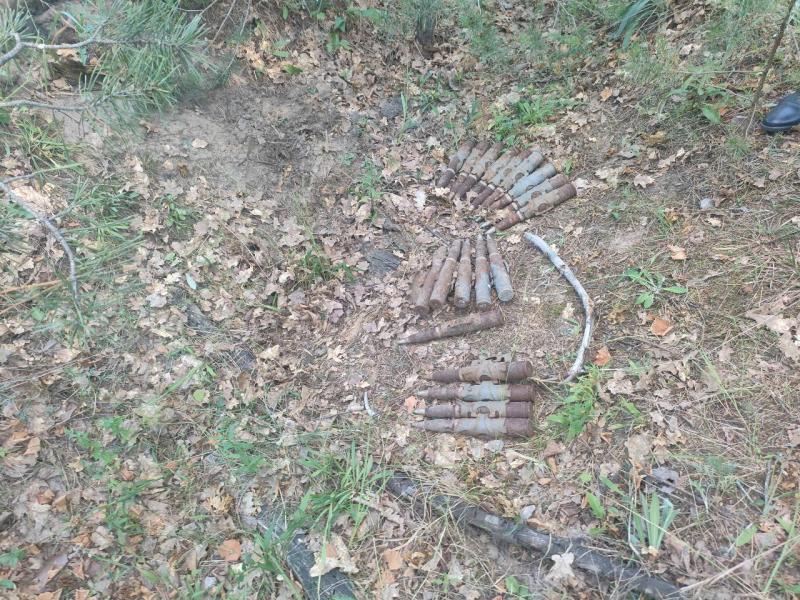 Взрывотехники Росгвардии уничтожили обнаруженные в Тамбовской области артиллерийские снаряды